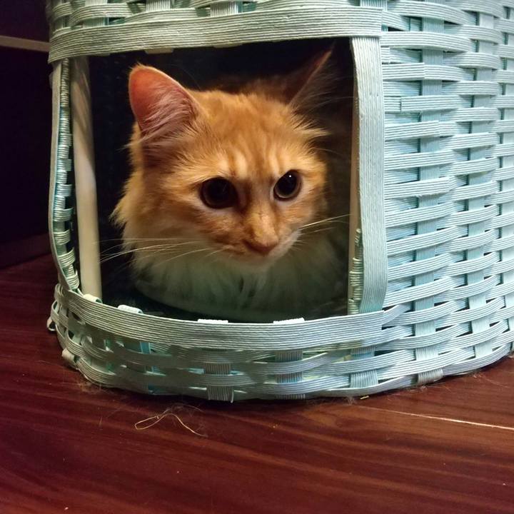 900491a0 0102 43d5 a112 b3e027e34bb0 1650640039793