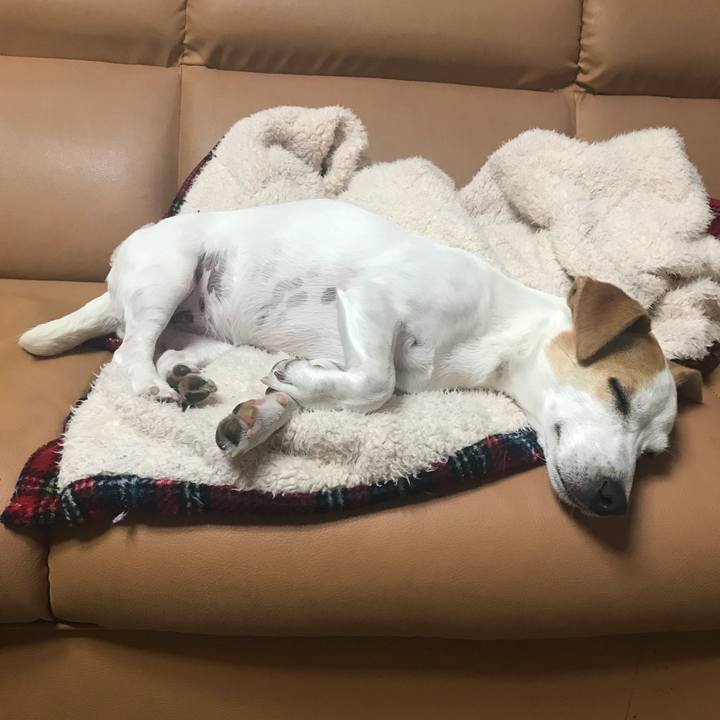 9004bbdd 1ec3 4eb3 b7b0 e491081de50e 1587359505358