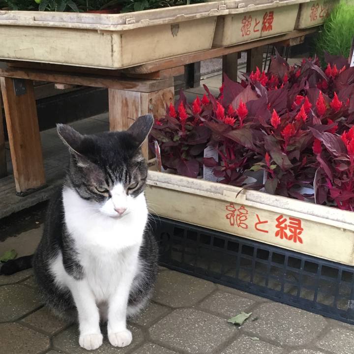 9004c3d5 cd97 4dbd b460 8212fdbaaa56 1530368171439