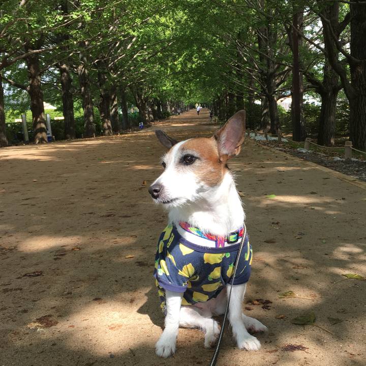 9004c53c 426e 40b2 bc5d 66dc3d8aa21e 1634432989840