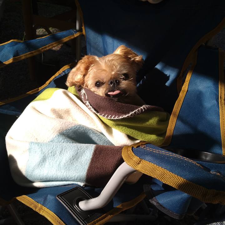 9004dadc 9469 430a bf17 ef15c99c28e7 1600644341996