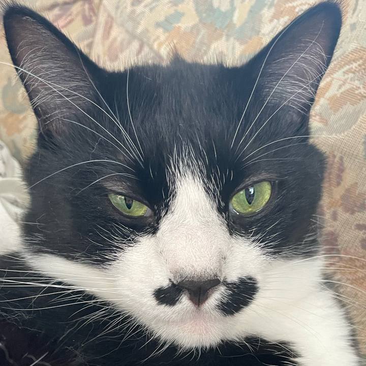 90051f58 fb8f 4423 afb9 57b41423df43 1751867037363