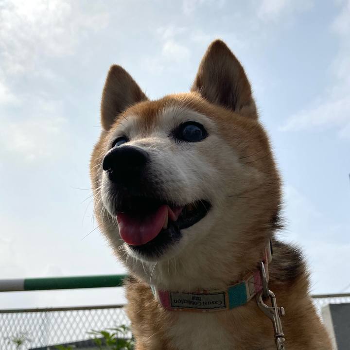 90054213 8114 40cc b392 8db67b16d065 1751848327205