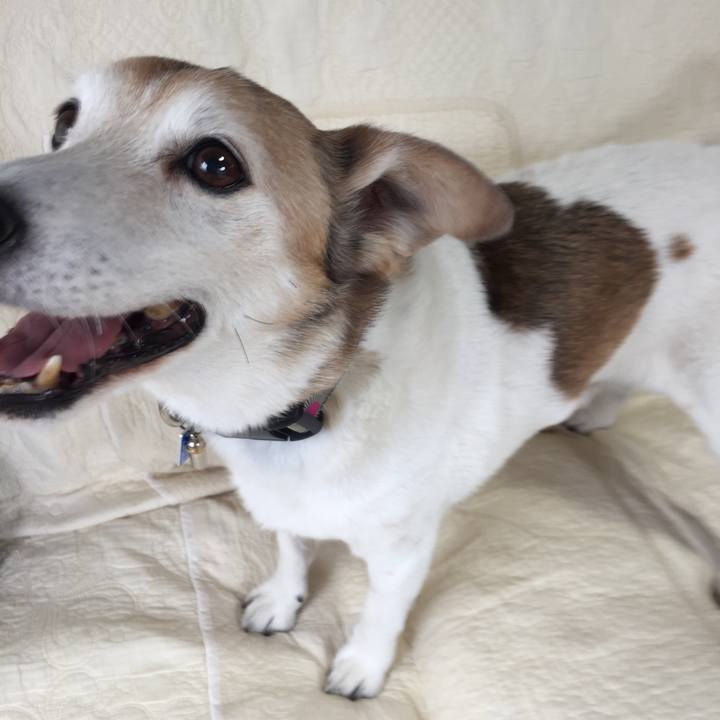 900585da 6c8f 4d7b 9de4 1de27ca6e33a 1527202881183