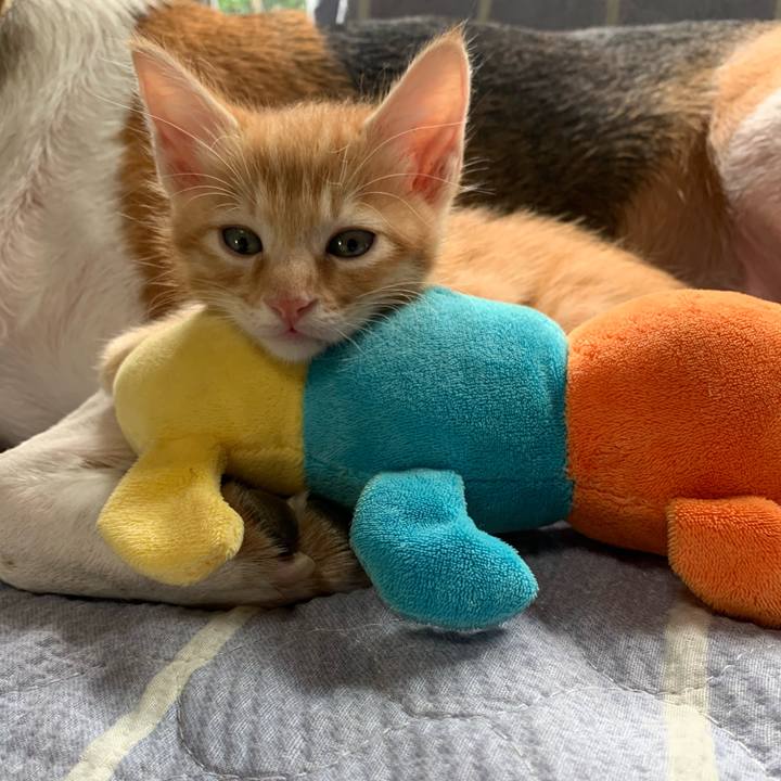 9005b2ca aee2 4a76 8060 d97d7edd969d 1571454875351