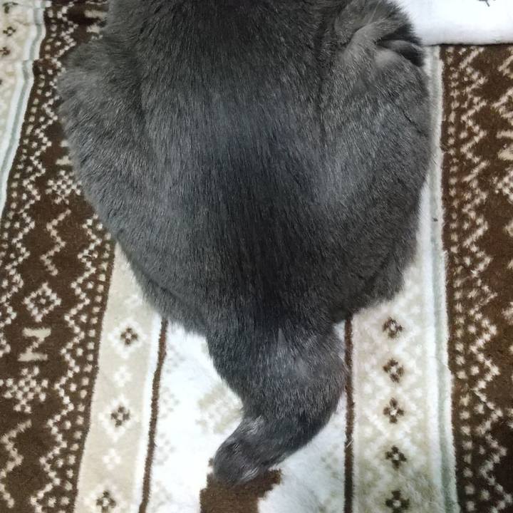 9005c3db d17f 4a7c 95b8 3a942aef5015 1679908491663