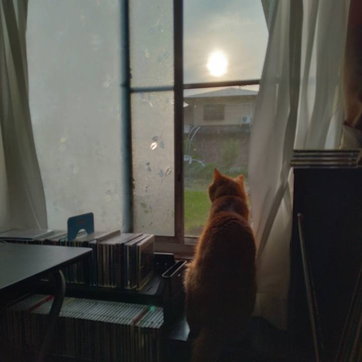 9005dfff 05f7 4d7f 931d 6aecc062f2d5 1686952167084