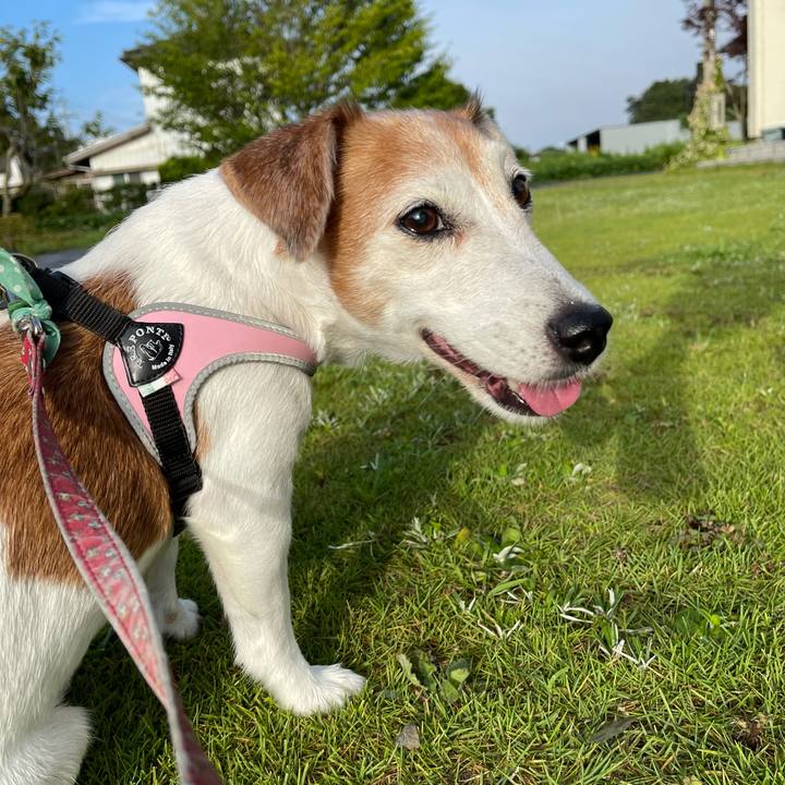 9006104c 7423 41fa a655 d549a52c5089 1628637405242