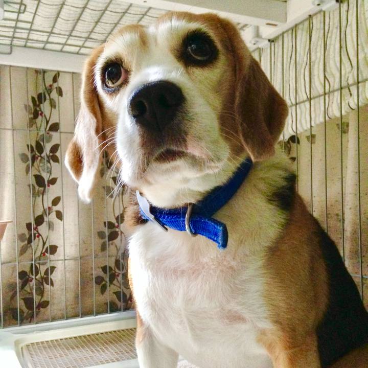 900641a7 78d0 4d62 b2d9 e5feac4d55f2 1758261136889