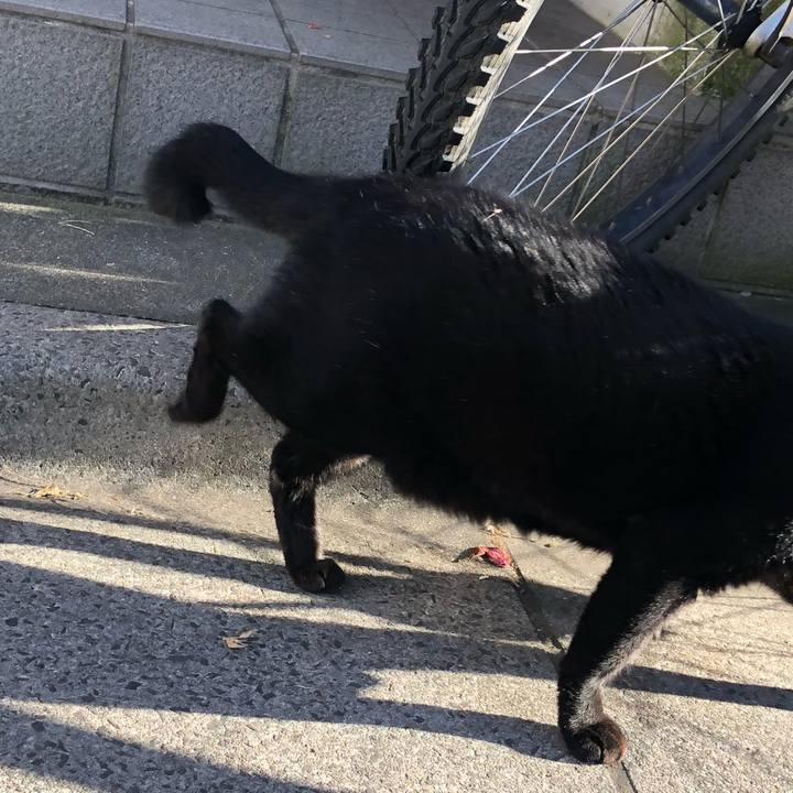 90064efa 4a5b 401c 9d79 1251a34308bb 1534968337367