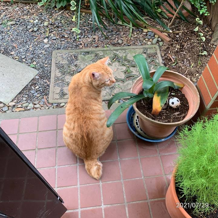 90066627 0248 4ba3 92e6 b13465b23246 1627508632609