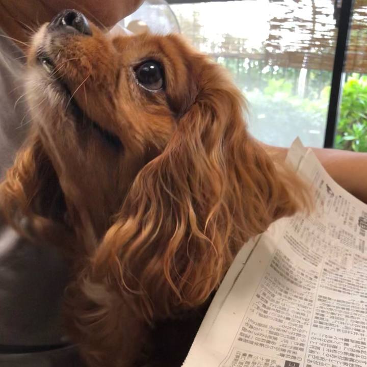 90067b51 a5b1 4b13 a669 105199974cf8 1630015295001