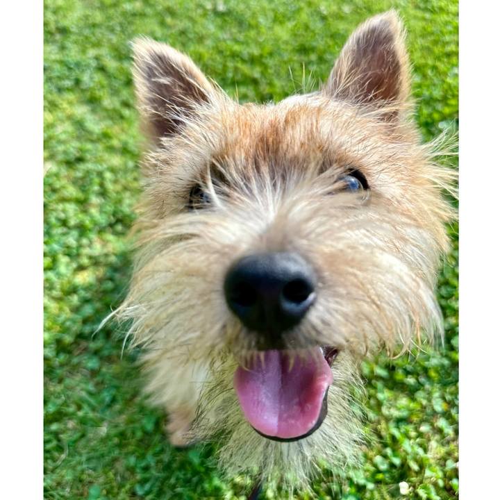 9006efac b668 4732 9742 ebaf976e3eb2 1718617729475