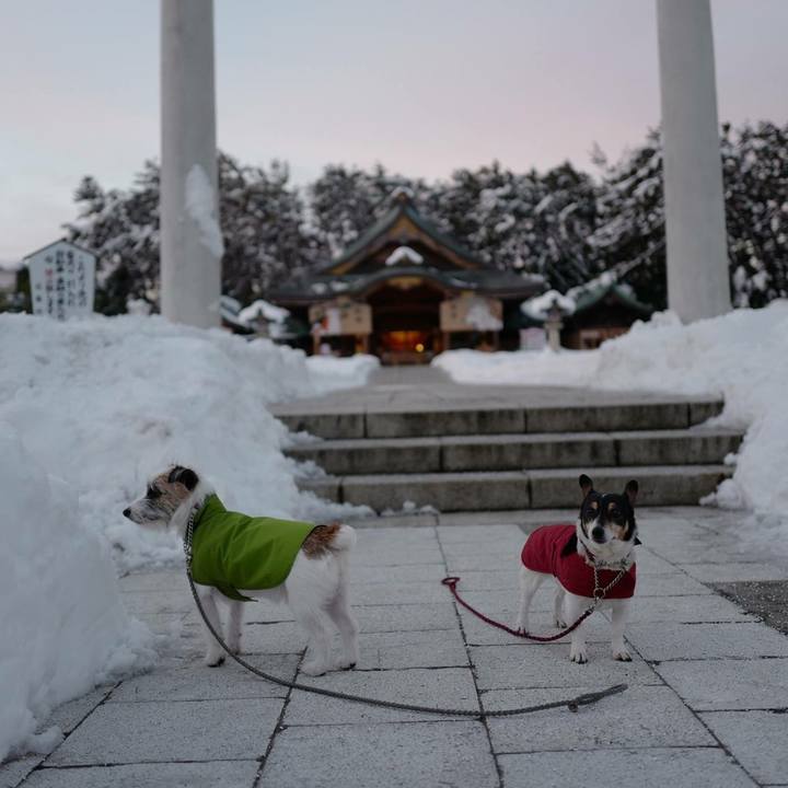 900751e9 d42b 48d3 827a 26d7b3556583 1515987385184