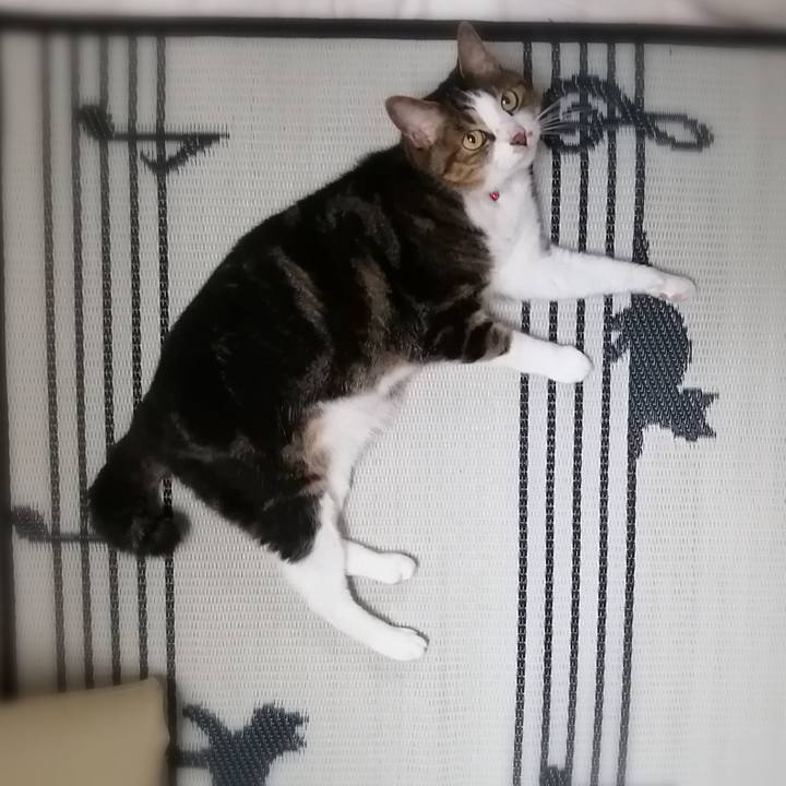 900766e0 9d3b 4d03 a90d b7ab18fee317 1595498477006