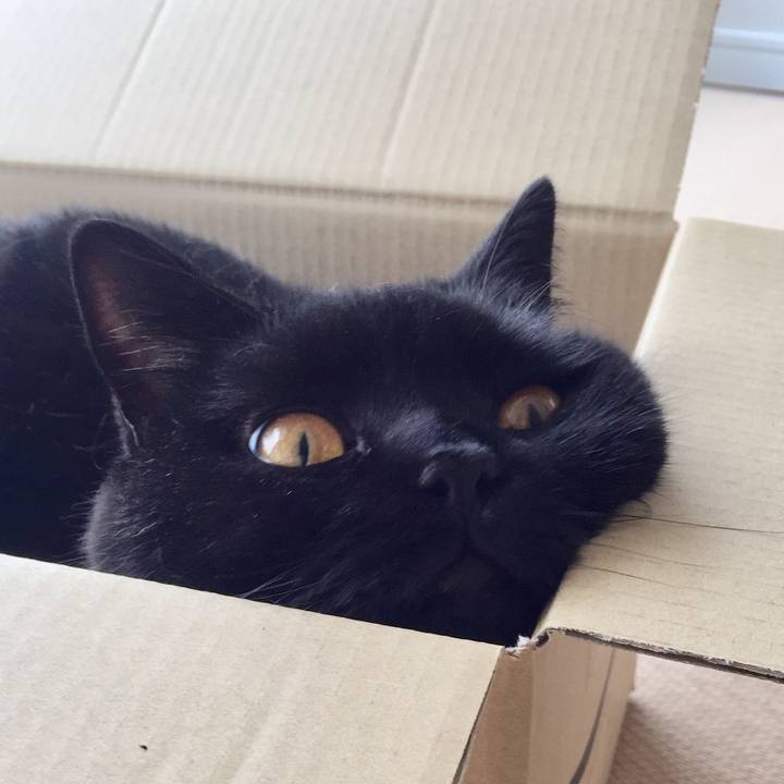 90076d2c 799d 4dc7 9f92 8f236227c432 1564265953864