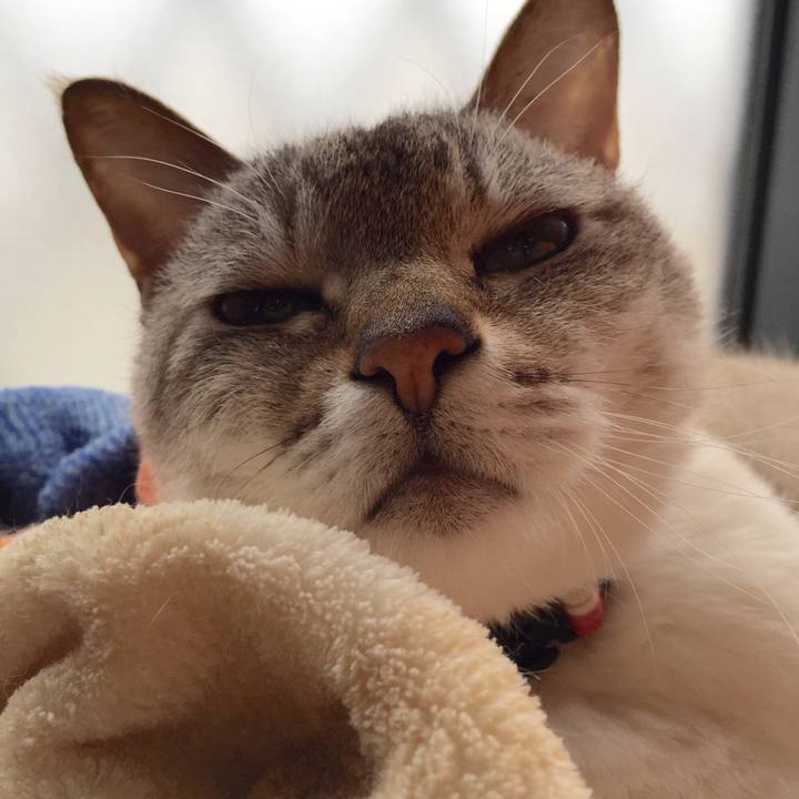 90078602 1ed0 4c9f 9562 0b2fba8e76dd 1526701239504