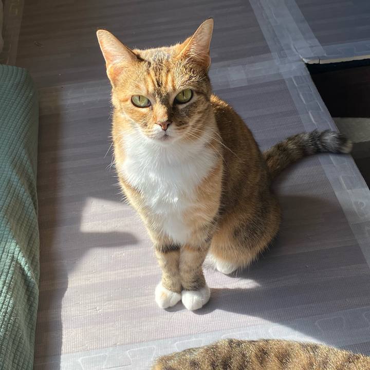 9007d477 8aa5 4bc7 9896 e61168fa2c75 1613016946667