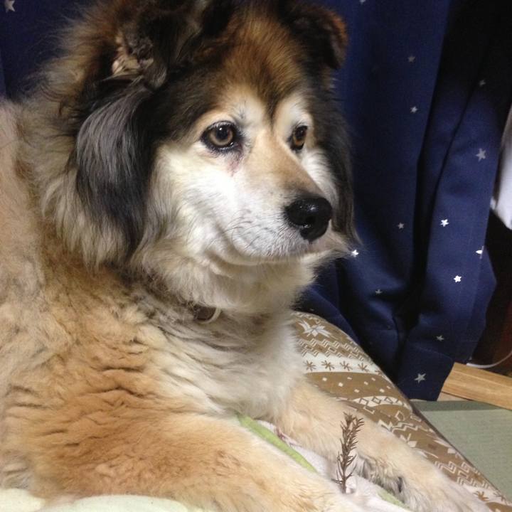 9008317a 32a2 46ed 8eab 5ce0e732691c 1585329920877