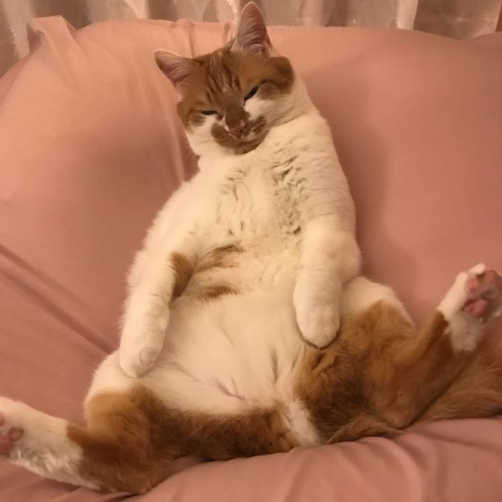 900836c7 0e62 49ab 96fc 91b62c3d141a 1555413756740