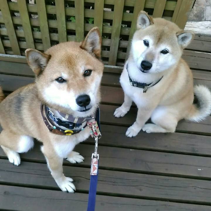 9008a51d 9137 4522 bf61 967316c5626e 1566206860824