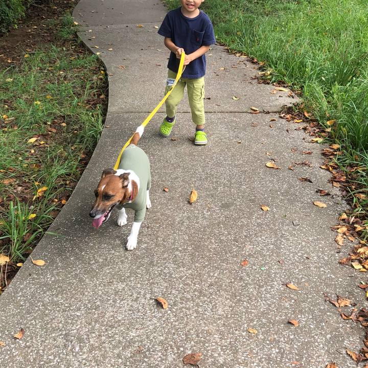 9008b978 11c4 437a bf0e 990de08e3458 1537746494244