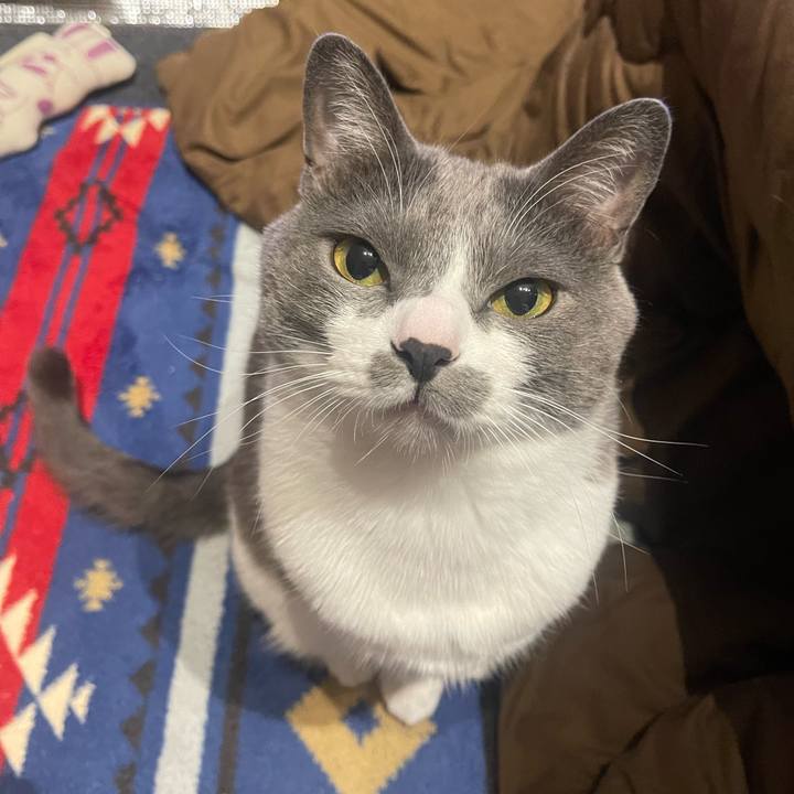 9008c356 1400 4cc4 b8d9 dcf51c93922f 1676385820142