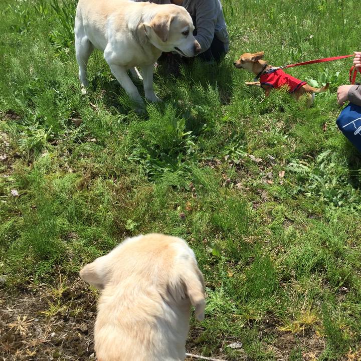 9008c664 a8de 45e0 9ca3 a68095d00659 1525511800540