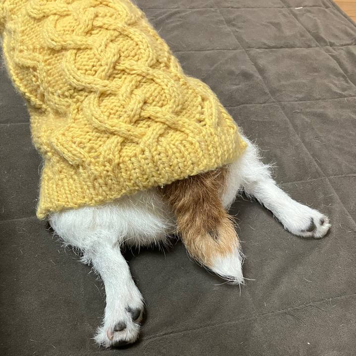 9008c88a 4ea1 4f6c a0df 982299a72e91 1709853859313