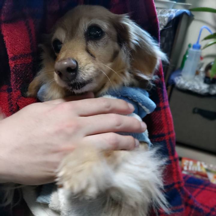 9008de07 5c06 4410 974c f188ba7df604 1672711119509