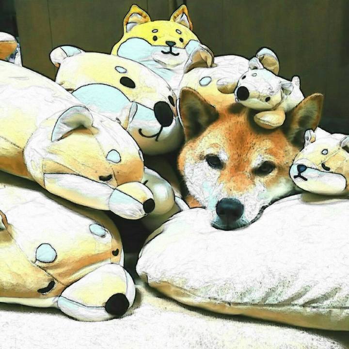 9008fd17 5689 4258 a219 7f121a9e8089 1562833463359