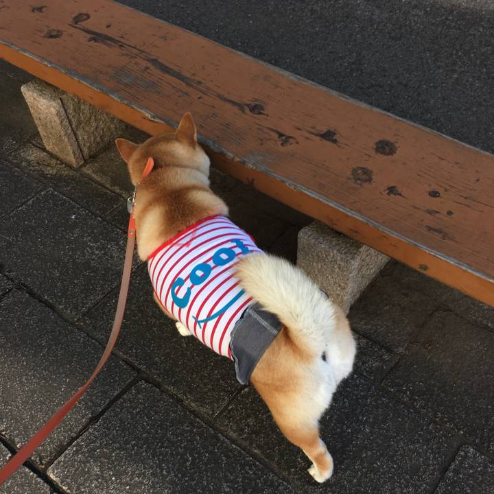 9008fd72 72ce 42f0 ab92 ffb9303b910e 1564962565785