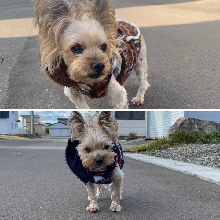 9008ff34 92fb 4dd3 9a56 cbf18441642a 1668935493545