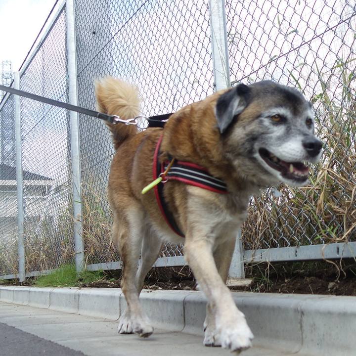 900955fd 20c2 41f8 bc09 806890119c5f 1650763485037