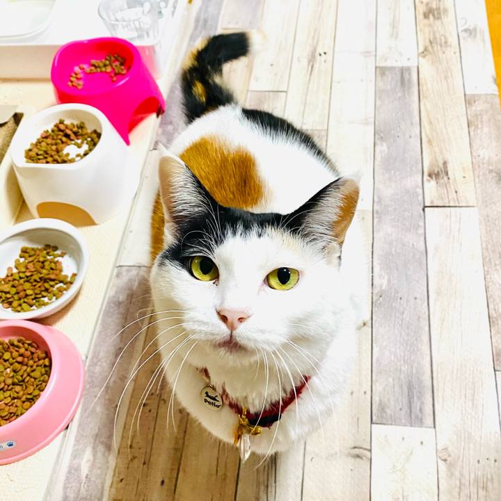 90096748 34ed 4b55 a955 1159da7c932d 1708431346568