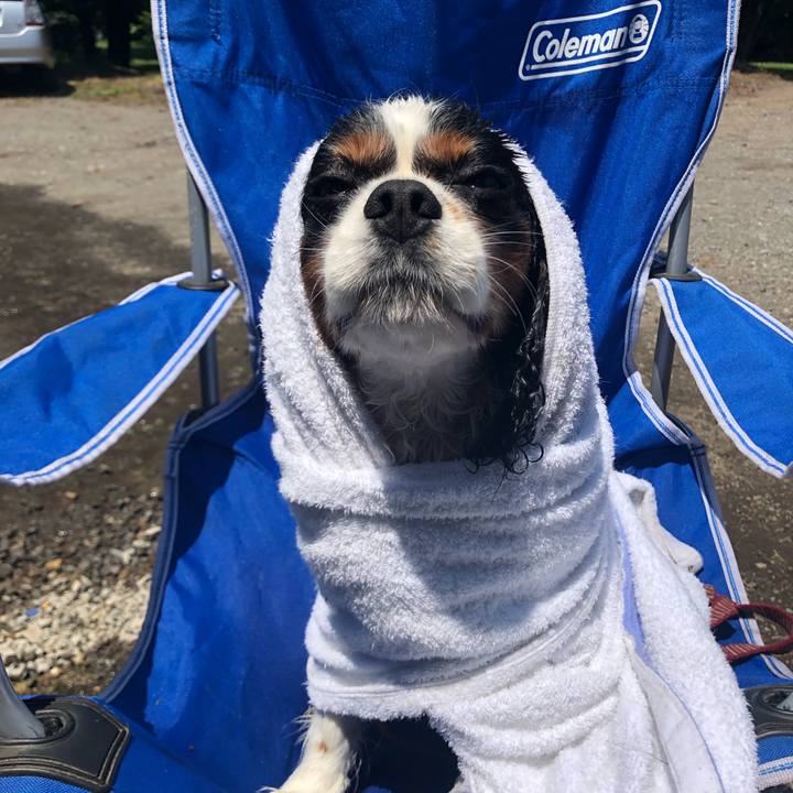 900986a6 ead2 4db1 ad94 6bcbfde1dd34 1563590833408