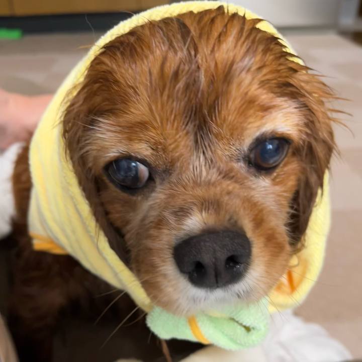 9009c326 729b 44a5 9122 237114c96993 1729905261028