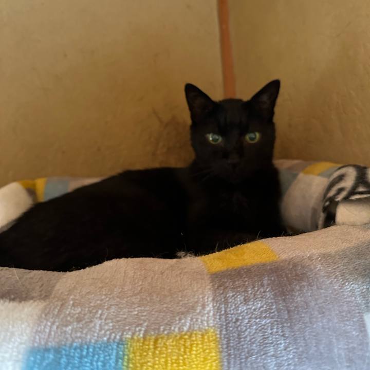 9009cfc1 e11c 45eb 8cab cc9b9cb13e76 1688694068059