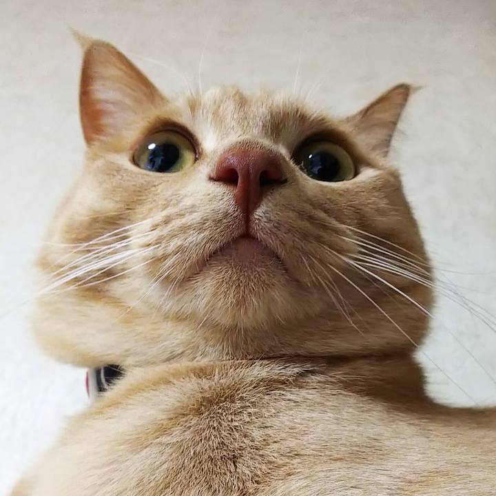 9009eb8e cb19 4e15 b72a 4f2b55aeb3d1 1582280316262