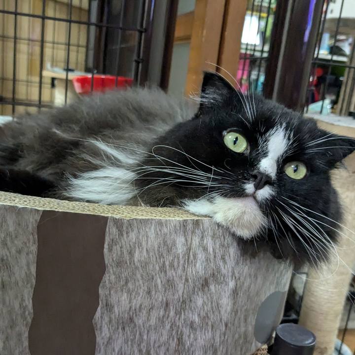 9009eda4 0f83 478e ae25 3443410ca44c 1724583400008