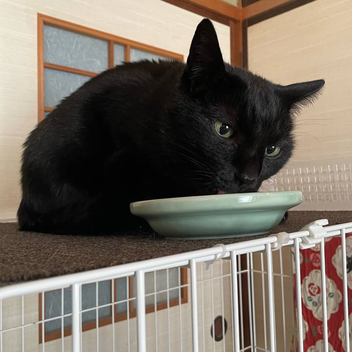 900a08d5 00fe 49b2 ad62 772deea39407 1639964262095