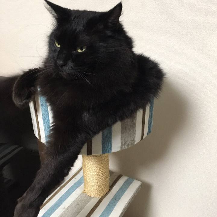 900a09ea 113c 4d54 b7ad 21e87df1ee18 1513672406719