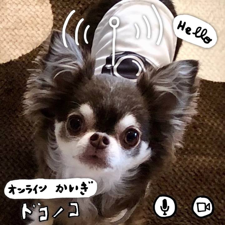 900a1437 deb9 455b 9ad2 b2f55665a5e9 1590747356055