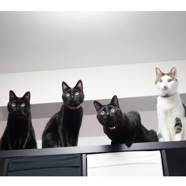 900a3719 b22f 4eac a43f b900d14f189a 1550804727990