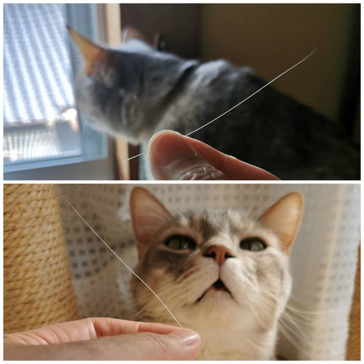 900a4ae4 485c 4530 83a6 352c037788be 1681224186179