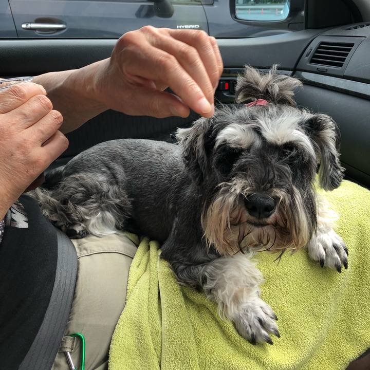 900a58a8 2783 4f31 89ba 7334634ab436 1563020919802