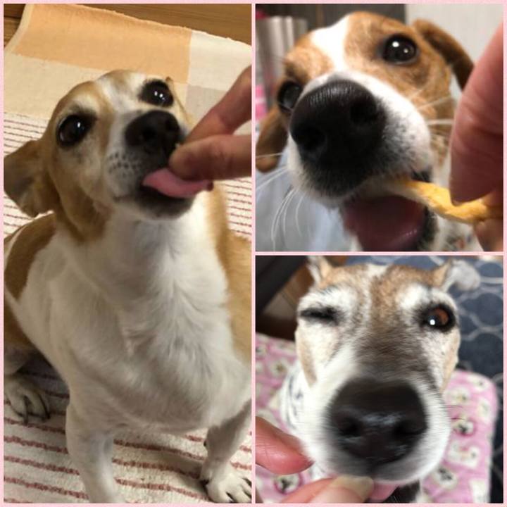 900a683b 5e74 4366 a0b5 05ea3b94a9ff 1523106258117