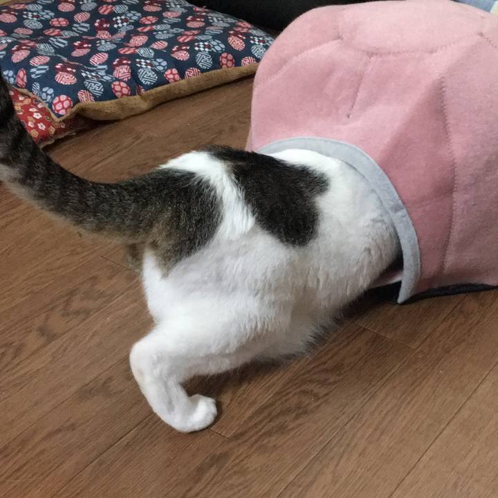 900a724d f756 470d 91e1 c0fe75bf2d15 1595743118848