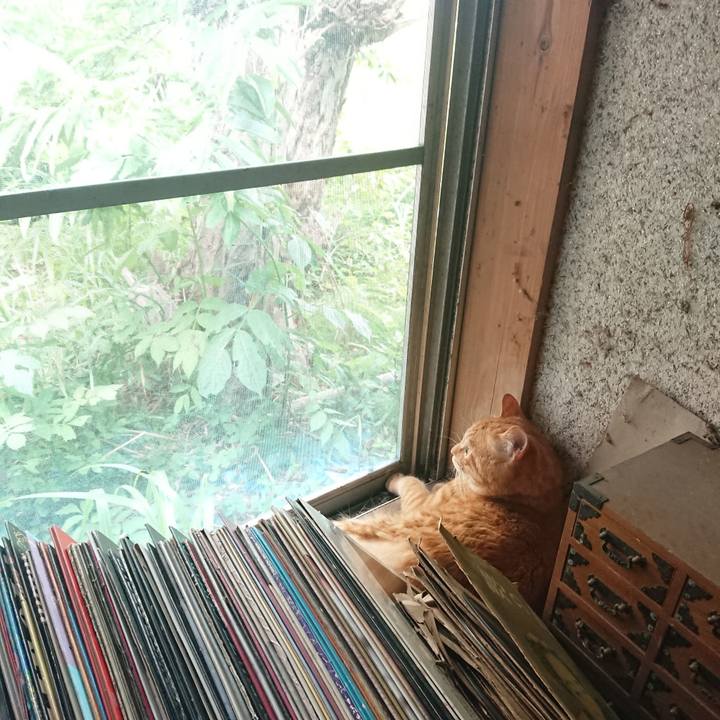 900aae66 4ae4 4125 a6e9 be2ac7050f55 1656465118044