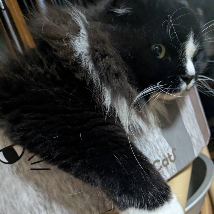 900abd4b 70b2 417b 8939 1f884d0b7b6b 1758899314496